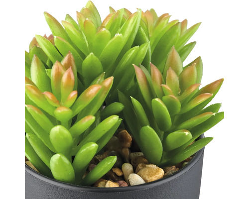 Kunstmatige vetplant in pot als decoratie