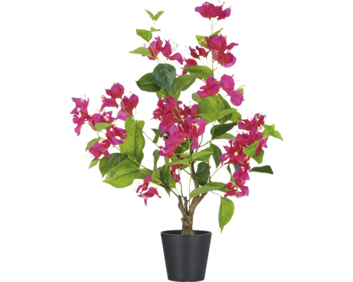 Kunst Bougainvillea in pot voor decoratie