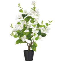 Kunst bougainvillea in pot met witte bloemen en groene bladeren.