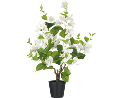 Kunst bougainvillea in pot met witte bloemen en groene bladeren.