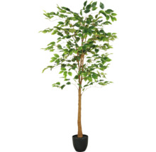 Kunstmatige ficusboom in pot