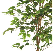 Close-up van een kunstmatige ficusboom met groene bladeren en bruine takken
