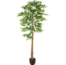 Kunstmatige ficus in pot als decoratie
