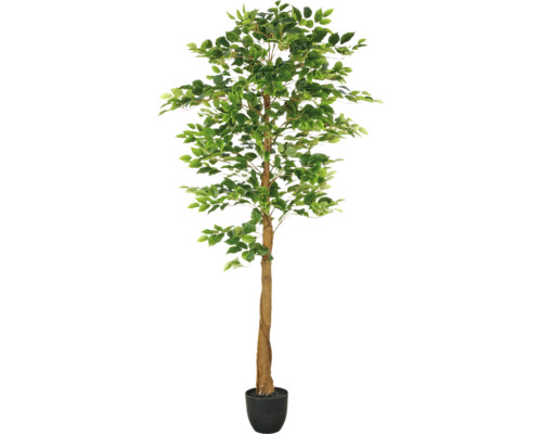 Kunstmatige ficus in pot als decoratie