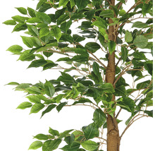 Gedetailleerde opname van een kunstmatige ficusboom met groene bladeren.