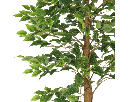 Gedetailleerde opname van een kunstmatige ficusboom met groene bladeren.