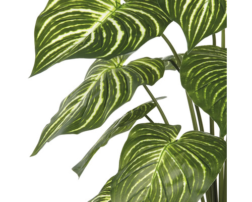 Kunstplant met grote, gestreepte bladeren