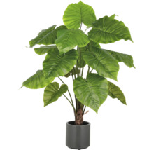 Kunstmatige Alocasia plant in een pot