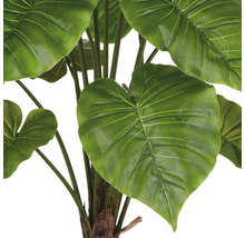 Detailopname van een kunstmatige Alocasia kamerplant met grote groene bladeren.