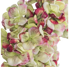 Close-up van kunsthortensiabloemen