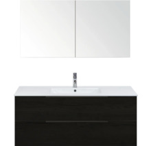 Wastafelcombinatie met wastafelonderkast, wastafel en spiegelkast