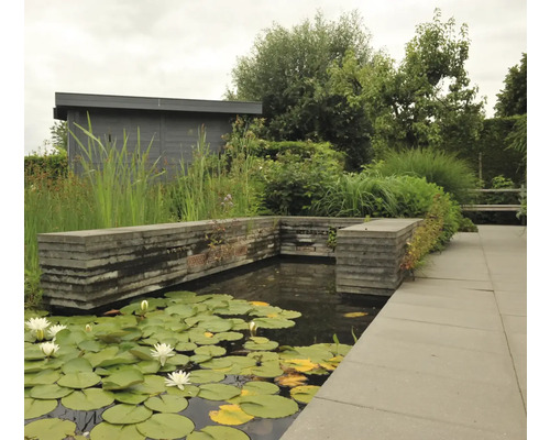 Tuinvijver met waterlelies, omgeven door stenen muren en planten