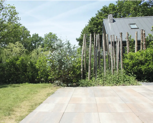 Tuin met gazon, bomenrij en stenen vloer