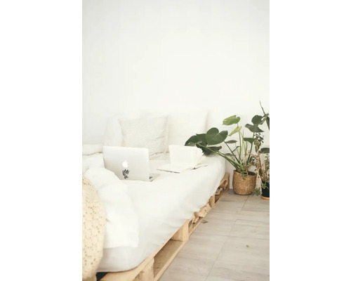 Lichte slaapkamer met palletbed, laptop en kamerplanten voor een vriendelijke sfeer.