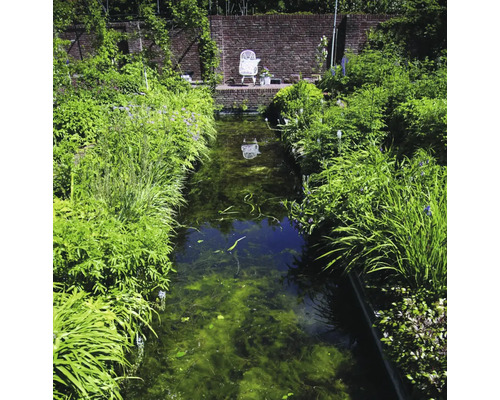 Een tuinvijver met weelderige beplanting op de oevers en een stoel aan het einde van de vijver.