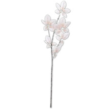 Decoratieve magnoliatak met bloemen