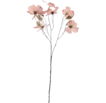 Decoratieve tak met bloemen