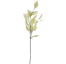 Decoratieve tak met bladeren voor bloemstukken