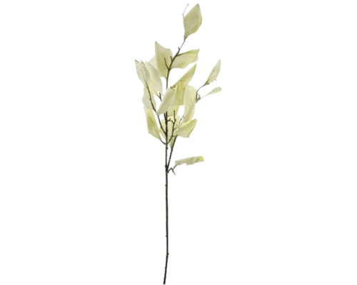 Decoratieve tak met bladeren voor bloemstukken