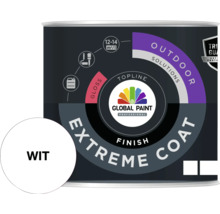 Verfblik met witte verf voor buiten