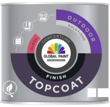 Verfemmer met Global Paint Professional Outdoor Solutions Topcoat lak