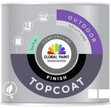 Verf voor buitentoepassingen in verfcontainer met de tekst Global Paint Professional