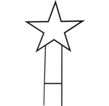 Metalen ster met grondpen voor tuindecoratie