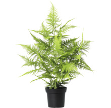 Kunstplant varen in pot