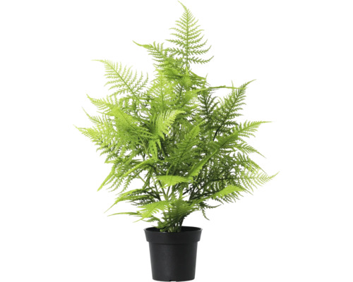 Kunstmatige varen in pot voor decoratie