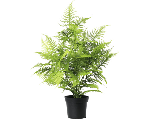 Kunstmatige varen in pot