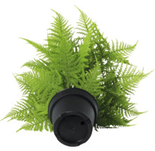 Kunstplant varen in pot