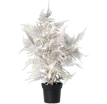 Kunstmatige varen in pot als decoratie