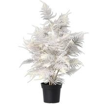 Zilverkleurige kunst sierasperge in pot