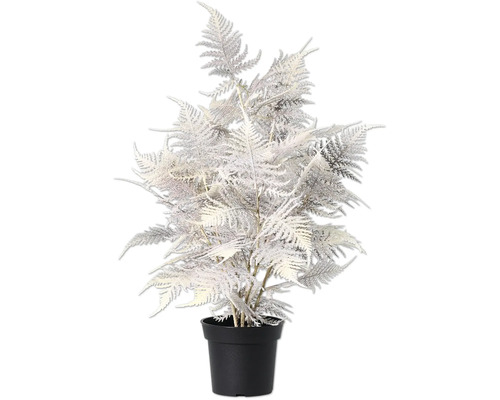 Zilverkleurige kunst sierasperge in pot