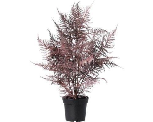 Kunstmatige Asparagus varen in zwarte pot