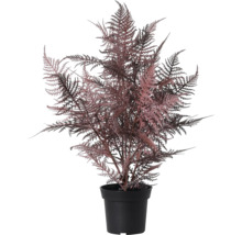 Kunst sierasperge in zwarte pot