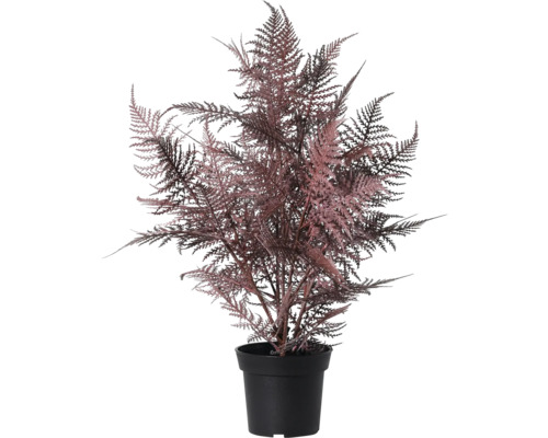 Kunst sierasperge in zwarte pot