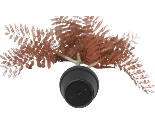 Kunstplant varen in pot, bovenaanzicht