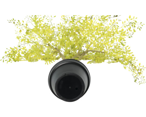 Kunstplant in pot, bovenaanzicht