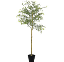 Kunst olijfboom in pot voor binnenshuis