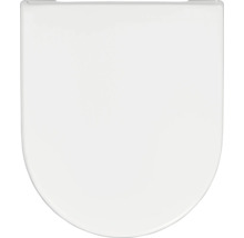 Toiletdeksel van kunststof