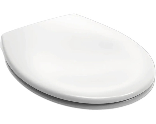 Toiletdeksel van kunststof