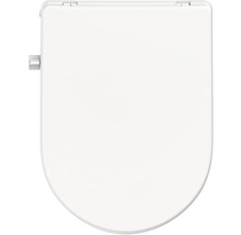 Toiletdeksel van sanitair keramiek