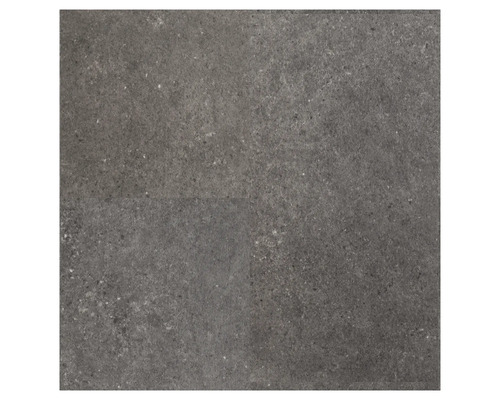 FLEXXFLOORS Natural series klik tegel opal 2,59 m² kopen! | HORNBACH