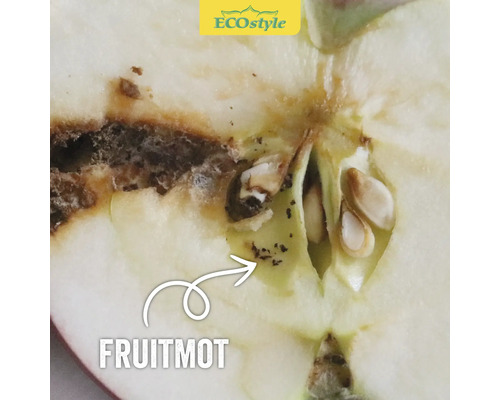 Doorsnede van een appel met schade door een vruchtbeschadiger