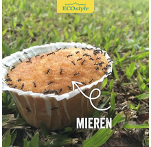 Cake in papieren vorm bedekt met mieren in het gras