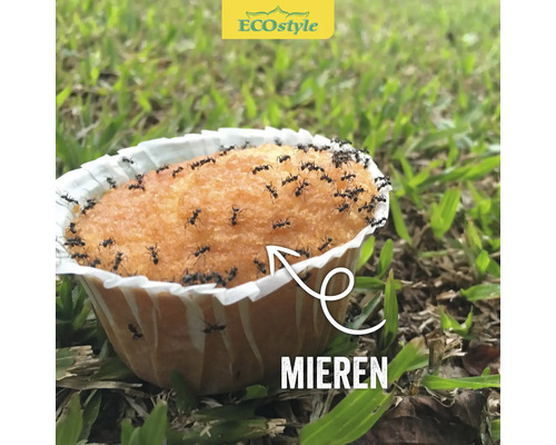 Cake in papieren vorm bedekt met mieren in het gras
