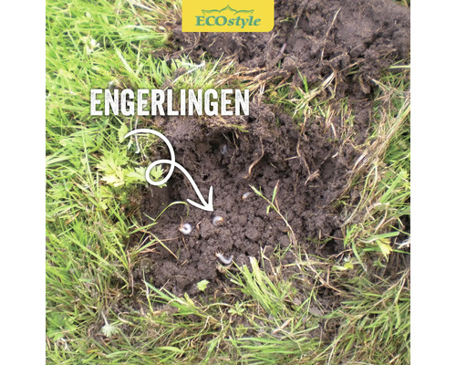 ECOSTYLE Aaltjes H tegen Engerlingen goed voor 1000 m²