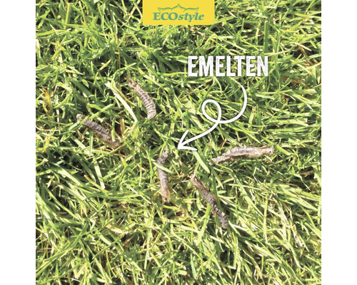 ECOSTYLE Aaltjes f tegen emelten 250 mln goed voor 500 m²