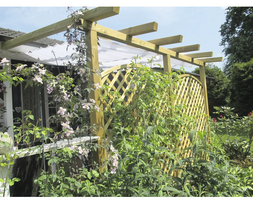 Houten pergola met klimplanten in de tuin